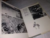 Лот: 13197444. Фото: 3. Год под знаком гориллы, Шаллер... Красноярск