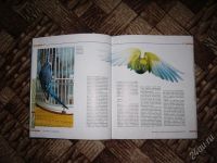 Лот: 38281. Фото: 3. Хорст Бильфельд, Волнистые попугаи