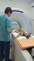Лот: 10383466. Фото: 2. компьютерный томограф NeusoftCT-3000. Медицина