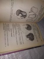 Лот: 21245566. Фото: 10. (1092343) Гутыря Л.Г. Парикмахерское...