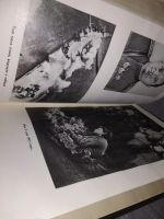 Лот: 12964098. Фото: 10. Небо моей молодости. Серия: Военные...