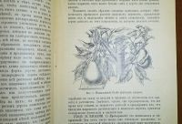Лот: 24967520. Фото: 7. Вл.Никольский. Как выращиваются...