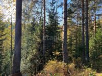 Лот: 25294598. Фото: 20. 1-комн. дача , садоводческое некоммерческое...
