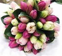 Лот: 3807464. Фото: 2. Тюльпаны в НАЛиЧИИ!!! ОТЛиЧНЫЕ... 23 февраля и 8 марта