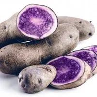 Лот: 16512521. Фото: 2. Картофель фиолетовый (черный картофель... Продукты