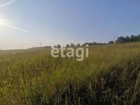 Лот: 22836905. Фото: 4. Продам участок 11.9 сот. Есауловское... Красноярск