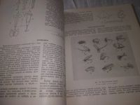 Лот: 20969722. Фото: 12. (209234) Настольная книга рыболова-спортсмена