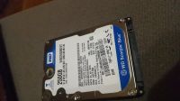Лот: 12127157. Фото: 3. Ноутбучный жесткий диск WD 250Gb... Компьютеры, оргтехника, канцтовары