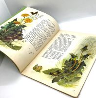 Лот: 25169609. Фото: 5. 📗 Анатолий Онегов. На лугу. Худ...