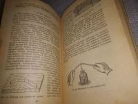 Лот: 24565345. Фото: 12. (3092347)Киселев Л. Микиртумов...