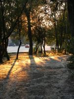 Лот: 5095958. Фото: 6. Nikon Coolpix L110