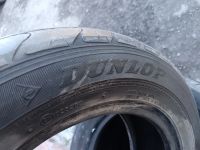 Лот: 25350177. Фото: 7. Шины летние Dunlop EC201 185 65...
