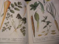 Лот: 7570981. Фото: 6. Книга "Огородничество" 1994 год...