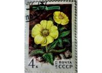 Лот: 12956943. Фото: 2. Марки Флора. СССР. Цветы гор Сибири... Коллекционирование, моделизм