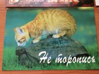 Лот: 10689326. Фото: 7. Интересные открытки! 8 шт. Одним...