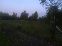 Лот: 10213575. Фото: 5. Продам участок в Сухобузимском...