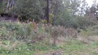 Лот: 13781326. Фото: 3. Участок в ипотеку. Недвижимость