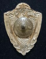 Лот: 21641343. Фото: 2. Знак Солдатская классность Мастер... Военная атрибутика
