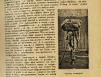 Лот: 17267768. Фото: 3. Руднев Я. Народы мира. Этнографические... Коллекционирование, моделизм