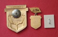 Лот: 11764308. Фото: 3. 3 нечастый значка: 75 лет. Росгосхлебинспекция... Коллекционирование, моделизм