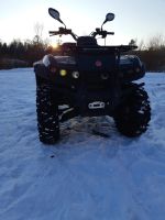 Лот: 15306572. Фото: 3. Квадроцикл. Авто, мото, водный транспорт