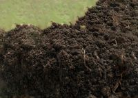 Лот: 13560321. Фото: 2. Навоз 4м3. Для дачи, дома, огорода, бани, парка