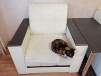 Лот: 20529087. Фото: 3. Диван с креслом и столиком. Мебель