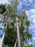 Лот: 25294832. Фото: 20. 2-комн. дача , садоводческое некоммерческое...
