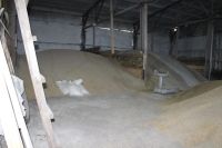 Лот: 11299397. Фото: 6. Лесоперерабатывающая база в с...
