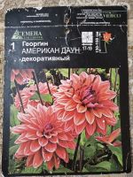 Лот: 25256540. Фото: 2. Георгин клубни сортовые. Семена, рассада, садовые растения