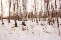 Лот: 25294808. Фото: 11. участок , ДНТ Чёрная Сопка ДНТ...