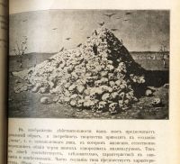 Лот: 19233462. Фото: 20. С.А.Золотарёв. Теория словесности...