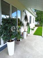 Лот: 25299125. Фото: 2. 3-комн. дом , Красноярск Раздольная... Продажа