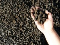 Лот: 12571852. Фото: 2. Уголь балахтинский семечка. Дрова, топливо