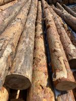 Лот: 16133023. Фото: 5. Столбики на забор (2 метра) Диам...