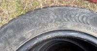 Лот: 17561558. Фото: 5. Nokian Hakka Green 2 185/65/14...