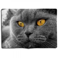 Лот: 5109806. Фото: 2. Обложка для паспорта "Cat Eyes... Канцелярские и офисные товары