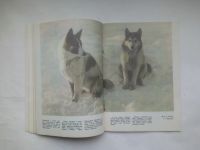 Лот: 24700330. Фото: 7. Журнал Юный Натуралист. 1969 год...