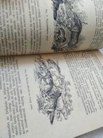 Лот: 17439374. Фото: 8. Истребление волков В.В.Рябов Библиотечка...