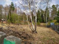 Лот: 16398918. Фото: 5. Земельный участок