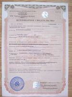 Лот: 1291806. Фото: 2. Мёд разнотравье. Кондитерские изделия, конфеты