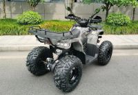 Лот: 25650241. Фото: 4. Квадроцикл MOTAX ATV Grizlik T200... Красноярск