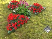Лот: 7278549. Фото: 10. Теплицы и Парники. Грядки и Клумбы...
