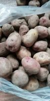 Лот: 13883781. Фото: 2. Картофель, большой пакет, 9кг... Продукты