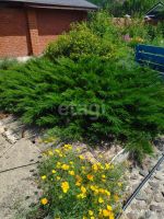 Лот: 25288714. Фото: 13. 1-комн. дача , деревня Вечерницы...