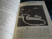 Лот: 2257055. Фото: 3. Год кита, автор Виктор Шеффер. Литература, книги