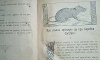 Лот: 24674081. Фото: 7. Тулупов Н.В. «Родные Сказки...