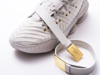 Лот: 17094669. Фото: 7. Кроссовки Nike Lebron XVI LMTD...