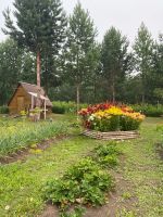 Лот: 23324353. Фото: 6. Продам дом для счастливой жизни...