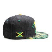 Лот: 10037375. Фото: 2. Снепбэк, бейсболка Ямайка Jamaica. Мужская одежда